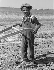 1938 African American Child Cultivating Cotton, MO Old Photo 8.5
