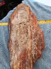 Natural Petrified Wood Thick Slab  picture