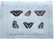 1783 Jablonsky HC Copper Engraved BUTTERFLY PRINTS Rare/8.5
