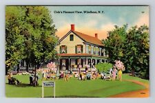 Windham NY-New York, Cole's Pleasant View Antique Vintage Souvenir Postcard picture