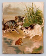Tabby Kittens Seeing Frog Henney Buggy Business Wagon Freeport IL  P20 picture
