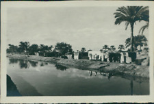 Egypt, Kasfareet, The Sweet Water Canal Vintage Silver Print. Originated Photo  picture