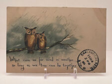 Vintage 1904 2 brown owls sitting on a big Branch Postcard 1906 W/ 1cent Stamped picture