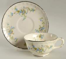 Pope Gosser Minuette Cup & Saucer 523135 picture