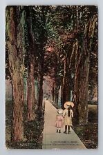 Fort Covington NY-New York, Lovers Lane, Antique, Vintage c1920 Postcard picture