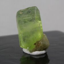 5.90ct Peridot Olivine Crystal Gem Mineral Pakistan Green Birthstone August 202 picture