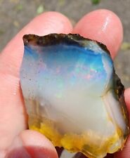 73 Ct. Virgin Valley Fire Opal Nevada Opal AAA Wood Replacement Limb Cast picture