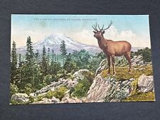 Vintage Postcard THE TWO SENTINELS MT. RAINIER WASHINGTON Mountain View Deer R32 picture