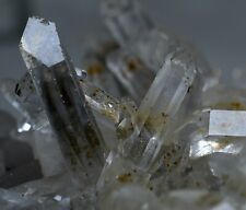 716 GM Flower Shape Natural Rare Super Clear Starbrary Quartz Crystal Specimen picture