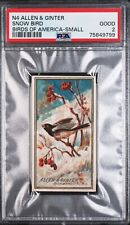 🐦 1888 N4 Allen & Ginter BIRDS OF AMERICA - Small SNOW BIRD PSA 2 GOOD picture