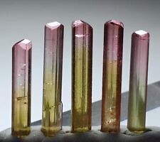 Wow beautiful terminated tourmaline   Bicolor Tourmaline Pinkcap  Crystal picture