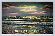 Daytona Beach FL- Florida, Moonlight On The Seashore, Antique, Vintage Postcard picture
