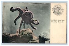 c1905 Devil Fish Aquarium Waikiki Honolulu Hawaii HI Unposted Antique Postcard picture