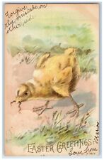1907 Easter Greetings Chick Eating Worm Wallkill New York NY Rotograph Postcard picture