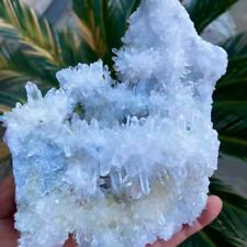 2.14LB A+++Natural white Crystal Himalayan quartz cluster /mineralsls picture