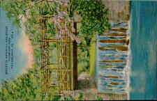Postcard: BEAUTIFUL WATERFALL AND BRIDGE FAIRMOUNT PARK PHILADELPHIA, picture