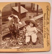 Stereoview Keystone 9685 Me An Billy Boy With Goat Straw Hat Overalls Rabbit (O) picture