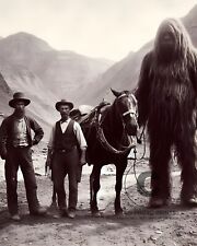 Sasquatch Bigfoot & Gold Miners 1899 Photo Mt. Whitney  CA Myth Folklore 8X10 picture
