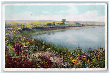 c1920's Flowers River Where Still Waters Flow Nantucket MA Phostint Postcard picture