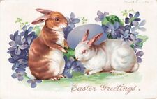 Vintage Artist Postcard Easter White & Brown Bunny Rabbits Bunnies Tuck c 1907 picture