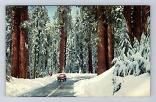 CA-California, General's Highway, Vintage Postcard picture