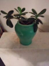 Small Green  Ceramic Planter Perfect For A Desk Or Table picture