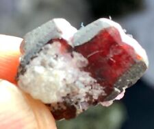 30 Ct Lovely Rare Tantalite Crystal Cluster with Albite from Afghanistan picture