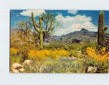 Postcard April In The Valley Of The Sun Phoenix Arizona USA picture