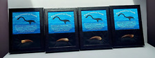 Elasmosaurus Dinosaur Four 2.5