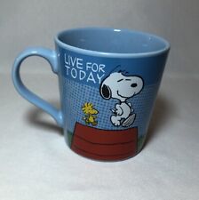 2014 Vandor Peanuts Snoopy Woodstock Coffee Mug Cup Doghouse Live For Today picture