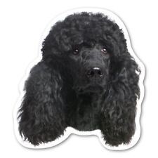 (Black) Poodle Magnet picture