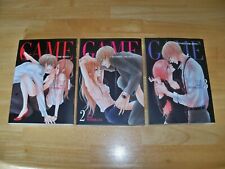 GAME BETWEEN THE SUITS -- Mature English Manga Vols 1  2 3  -- Mai Nishikata picture