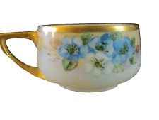 Antique Tea Cup Porcelain Rosenthal Selb Bavaria Handpainted c1920 picture