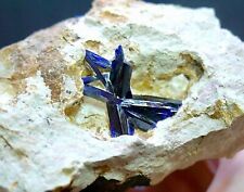 Large High Quality Azurite on Matrix - Touissit, Oujda, Morocco picture