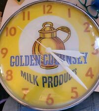 Vintage  GOLDEN GUERNSEY PAM Bubble Lighted Clock WORKS Orig Cord No Bulbs picture