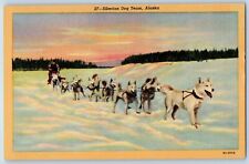 Alaska AK Postcard Siberian Dog Team Winter Scene Animals c1940's Vintage picture