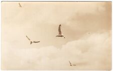 RPPC POSTCARD 1938 SEAGULLS FLYING IN THE AIR CLOUDS SQUIRREL ISLAND NY picture