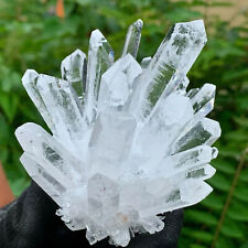 New Find white Phantom Quartz Crystal Cluster Mineral Specimen Healing 300g+ 1pc picture