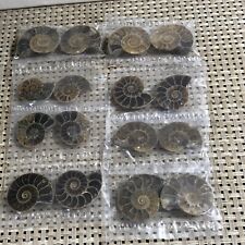 8 pair of Split Ammonite crystal Specimen Shell Healing Madagascar 80g c160 picture