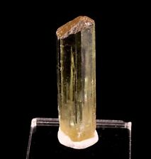 Gorgeous Gem Green Fluorapatite Crystal TN - Cerro Mercado Mine, Mexico picture