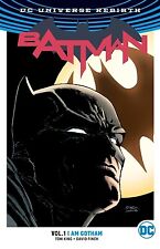 Batman, Volume 1: I Am Gotham (Rebirth) by King, Tom picture