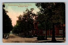 Muskegon MI-Michigan, Residential District Webster Avenue Vintage Postcard picture