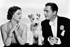WILLIAM POWELL & MYRNA LOY  AFTER THE THIN MAN Picture Photo Print 8