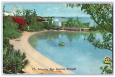 Somerset Bermuda Postcard View of River in Mangrove Bay 1951 Vintage Posted picture