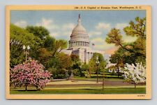 Postcard Springtime at the US Capitol Washington DC, Vintage Linen F19 picture