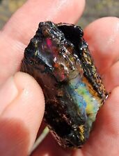 87.7 Ct Virgin Valley Fire Opal Nevada Opal AAA Wood Replacement Limb Cast picture