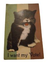 Kitty Cat Women's Suffrage Voting Rights I WANT MY VOTE c1910 Postcard picture