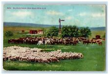 c1910's Big Stock Ranch Sheep Near Black Hills South Dakota SD Antique Postcard picture