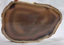 Very large Polished Brazilian Agate Geode 8