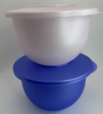Tupperware Impressions 2 Pc. Classic Bowl Set Blue & Pearl White #3095 5 Cup NEW picture